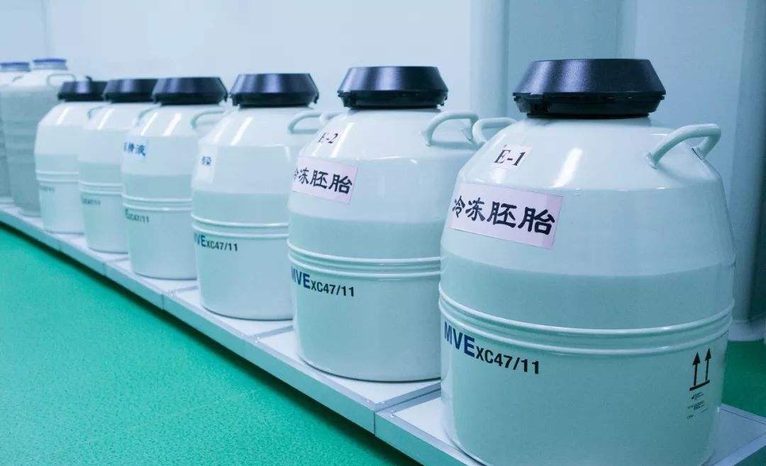 冷凍胚胎最長(zhǎng)可以保存多久？