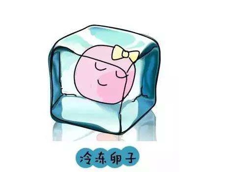 冷凍卵子對女性原來有這些好處！