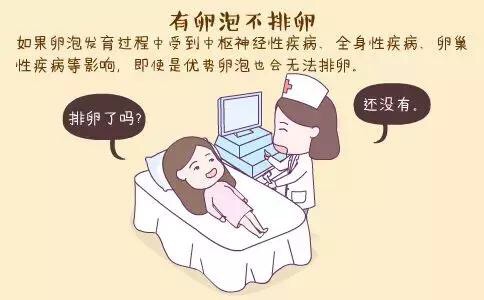 女性不排卵，是什么原因導致的呢？