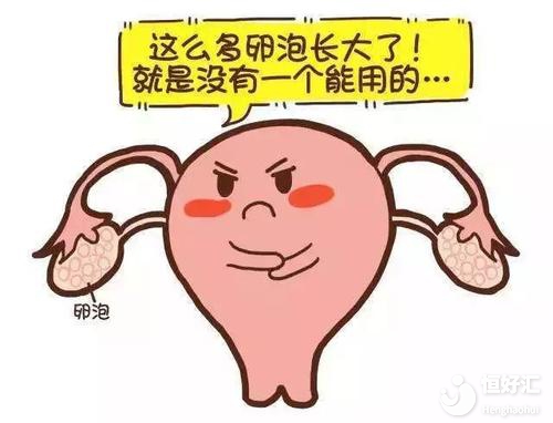 卵泡越大代表越好？你要注意的可能是這三件事