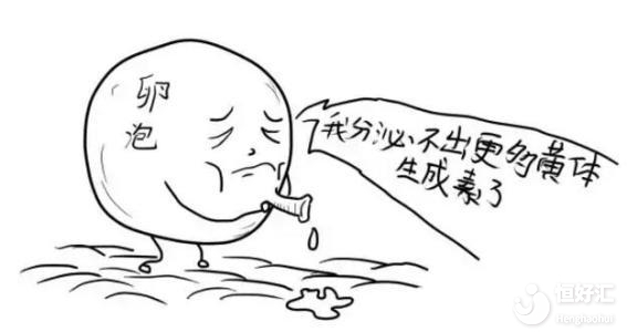 卵泡發育緩慢會不會影響備孕？