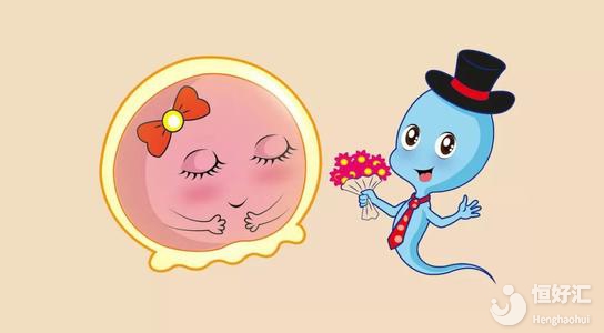 月經結束要過多久才可以監測排卵？