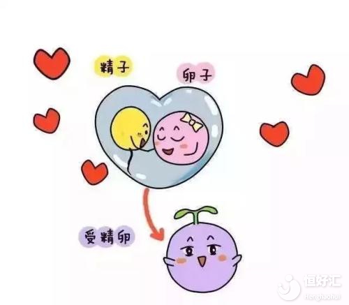 如何證明輸卵管是通暢狀態？