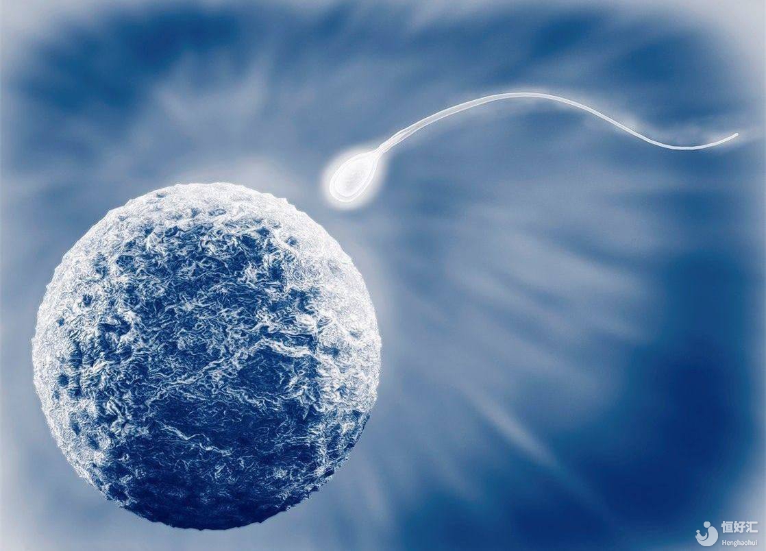 怎么精子活力不行了？細(xì)說8點，“滅掉”你精子的原因！