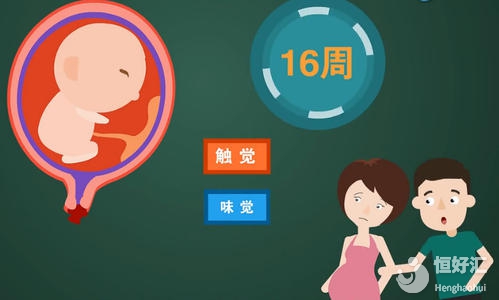 揭秘胎教的常見方式，你需要注意的是這幾點！