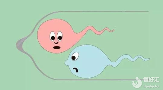 分段射精真可以治療男性不育？或許沒有那么簡單