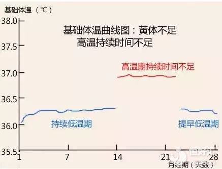 黃體酮分泌過多過少都有問題，你還在忽視嗎？