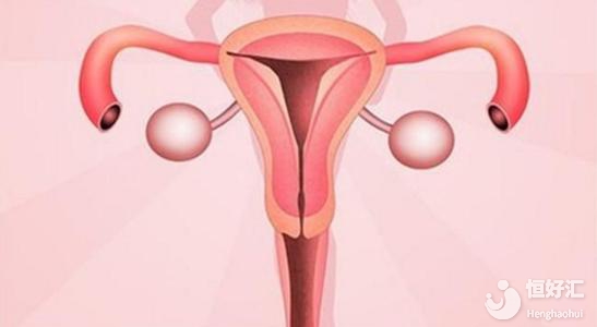 試管助孕碰上子宮肌瘤是治療還是優先孕育？