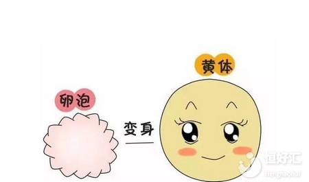 做試管嬰兒還會(huì)缺黃體？這些原因別忽略了