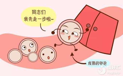 做試管嬰兒為什么要備孕？這3點(diǎn)很重要