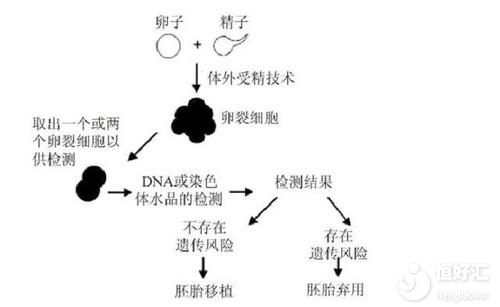 三代試管嬰兒和一二代有什么區(qū)別？說出來別不信