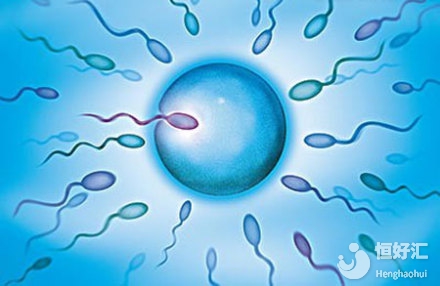 孕前進行精子質量檢查有這些好處，你知道嗎？