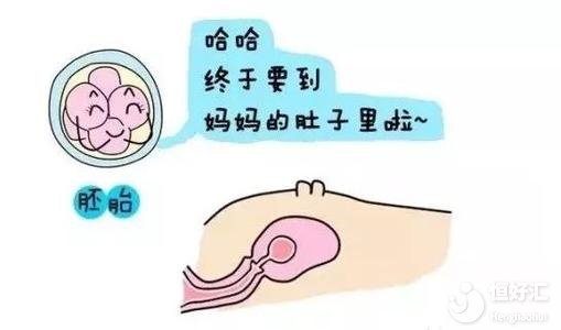 試管嬰兒移植后飲食的注意事項，別忽略了這點