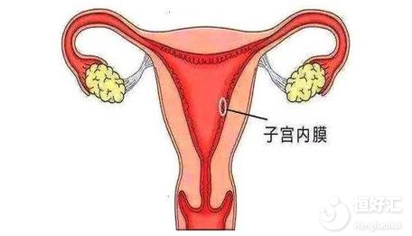 子宮內(nèi)膜薄會影響生育？做試管可以嗎？
