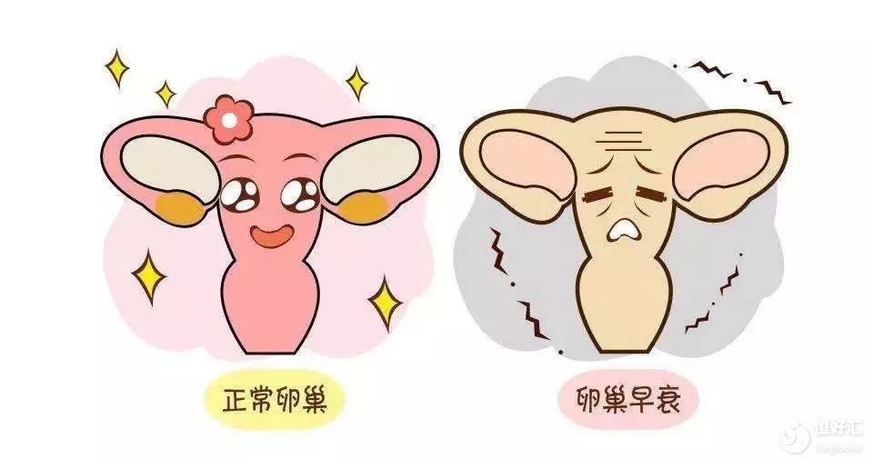 卵巢性不孕病因