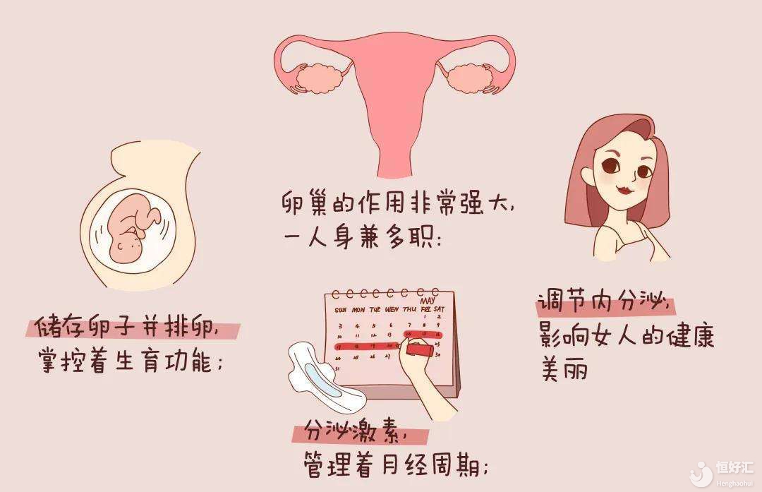 人年輕，卵巢卻老了，為什么會卵巢早衰？還能懷孕嗎？