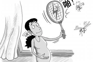 適合孕婦的安全驅蚊方法？孕婦驅蚊子用什么？