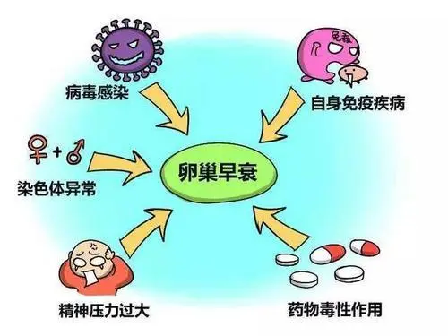 卵巢出現(xiàn)早衰的6個(gè)癥狀，女性留意下自己的身體