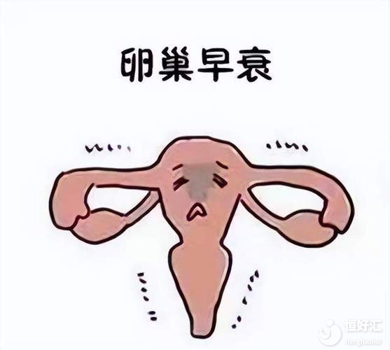 年紀(jì)輕輕卵巢就“枯竭”了？3個(gè)背后原因，你是哪個(gè)？