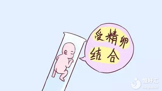 鮮胚、凍胚、囊胚，試管嬰兒中哪種移植成功率高？如何選？