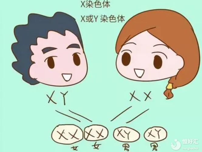 三代試管大概費(fèi)用是多少？一次就成功，也要15萬嗎？