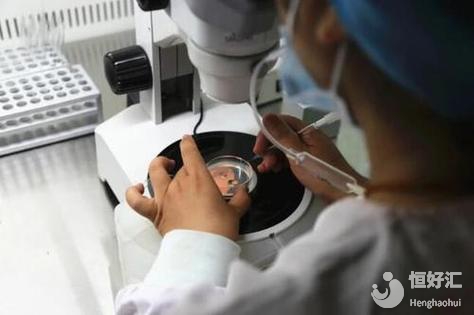 在成都進行試管嬰兒的價格是多少？